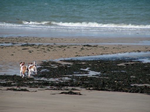 normandie08-55